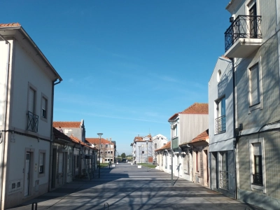 Jardim do Alboi
