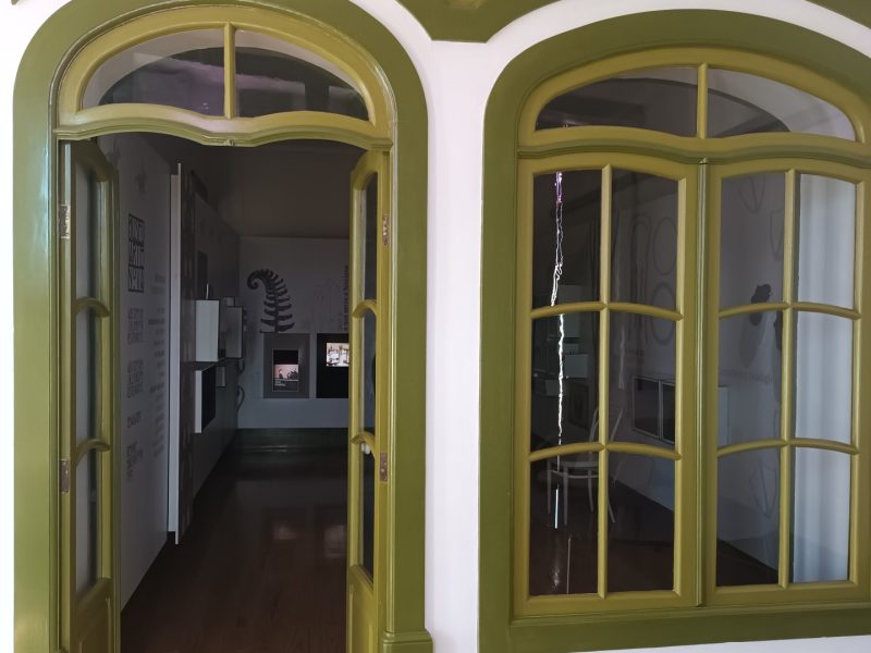 Museu Arte Nova