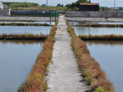 Ecomuseu Marinha da Troncalhada