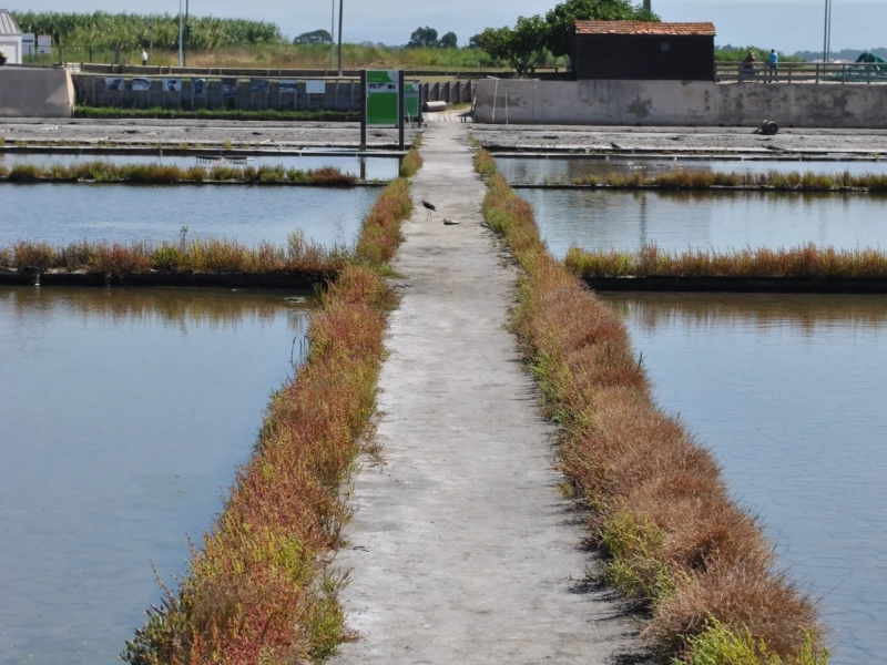 Ecomuseu Marinha da Troncalhada