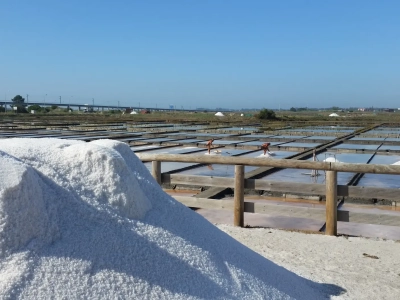 Ecomuseu Marinha da Troncalhada