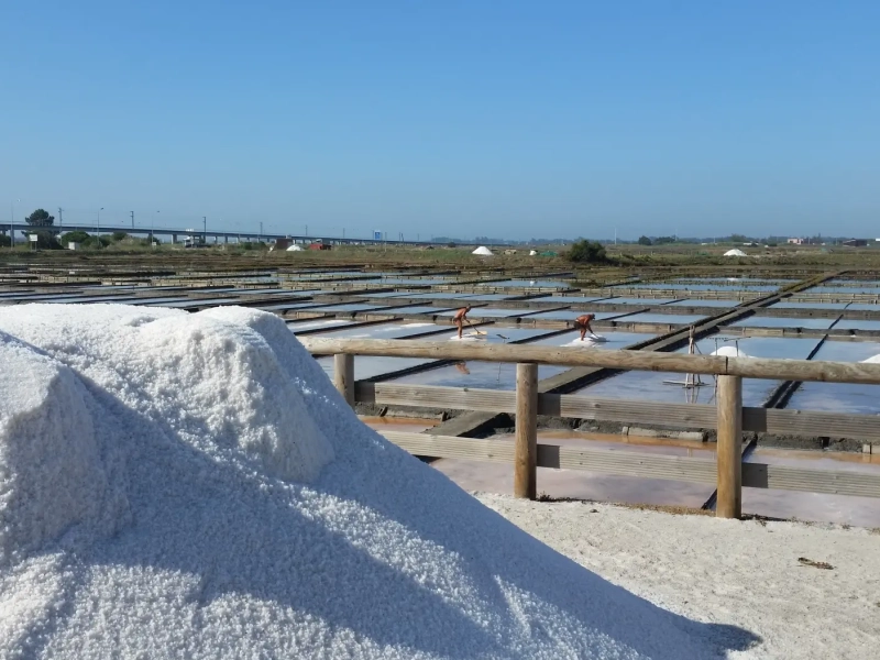 Ecomuseu Marinha da Troncalhada