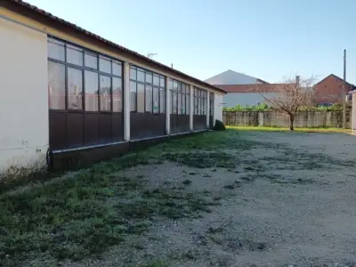 Antiga Escola de Verba, Nariz